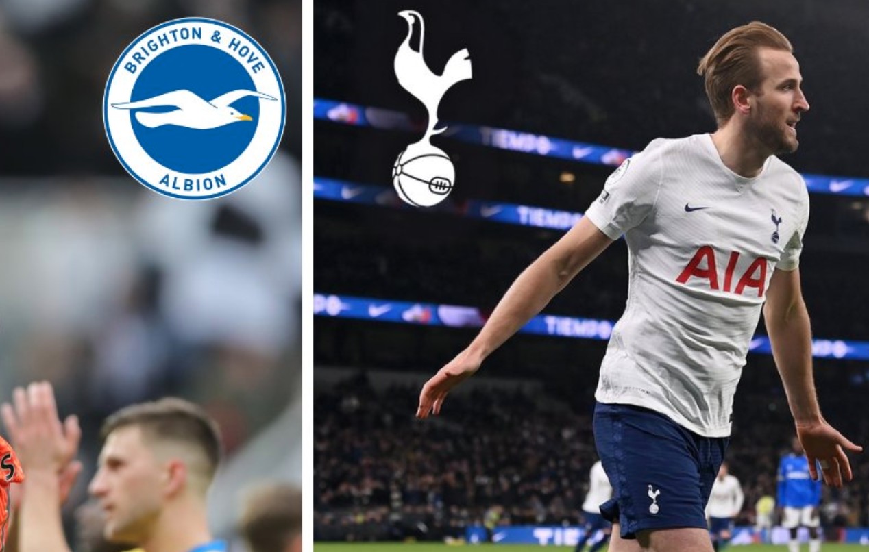 布莱顿主力球员名单